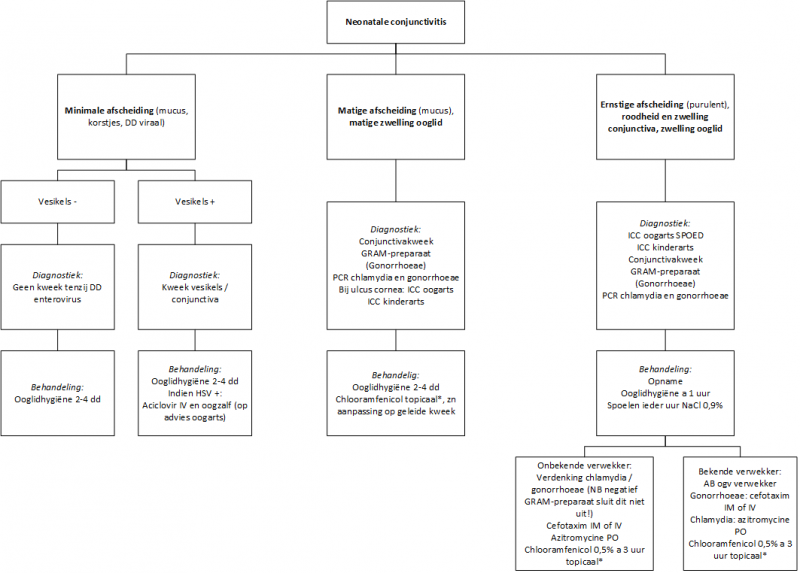 AUMC protocol neonatale conjunctivitis, flowchart